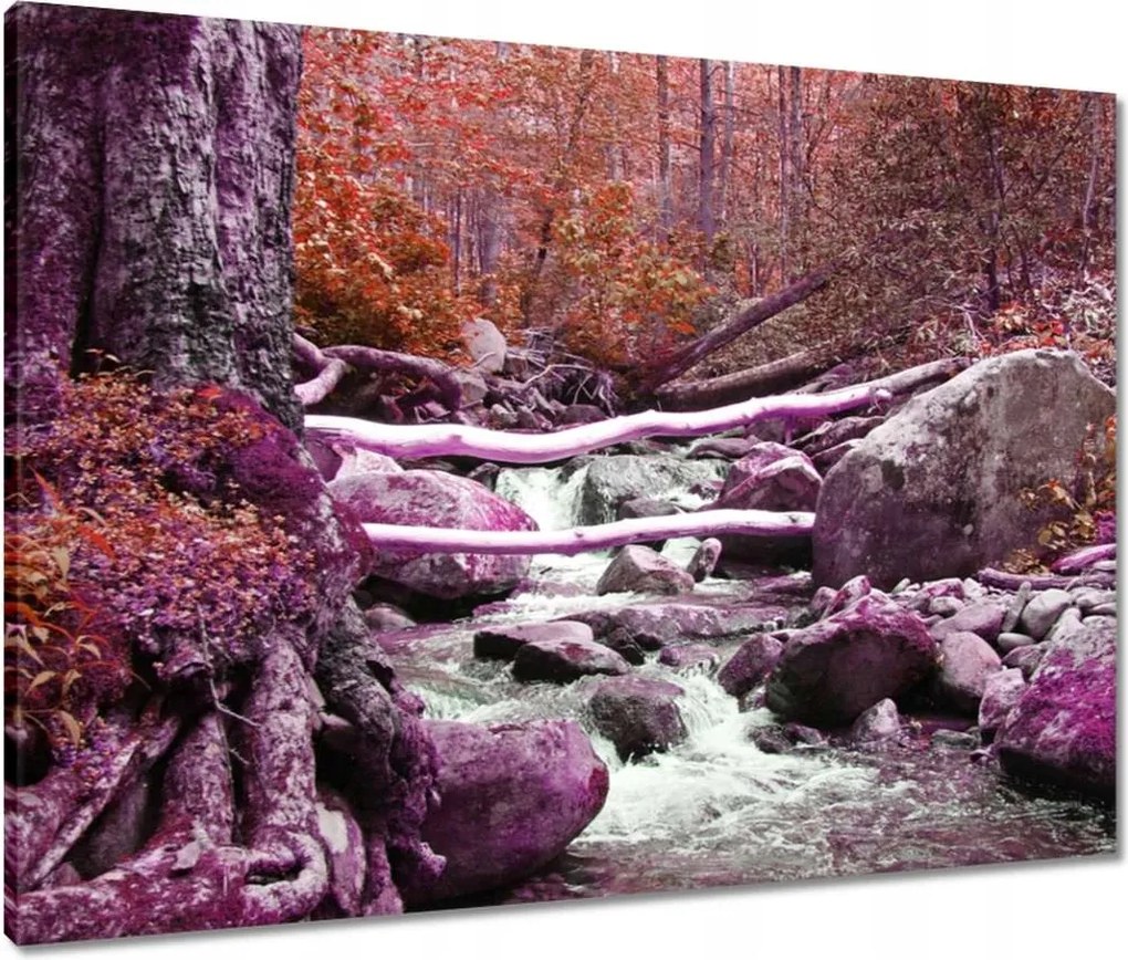 Vászonkép 80x60 Lila zuhatag