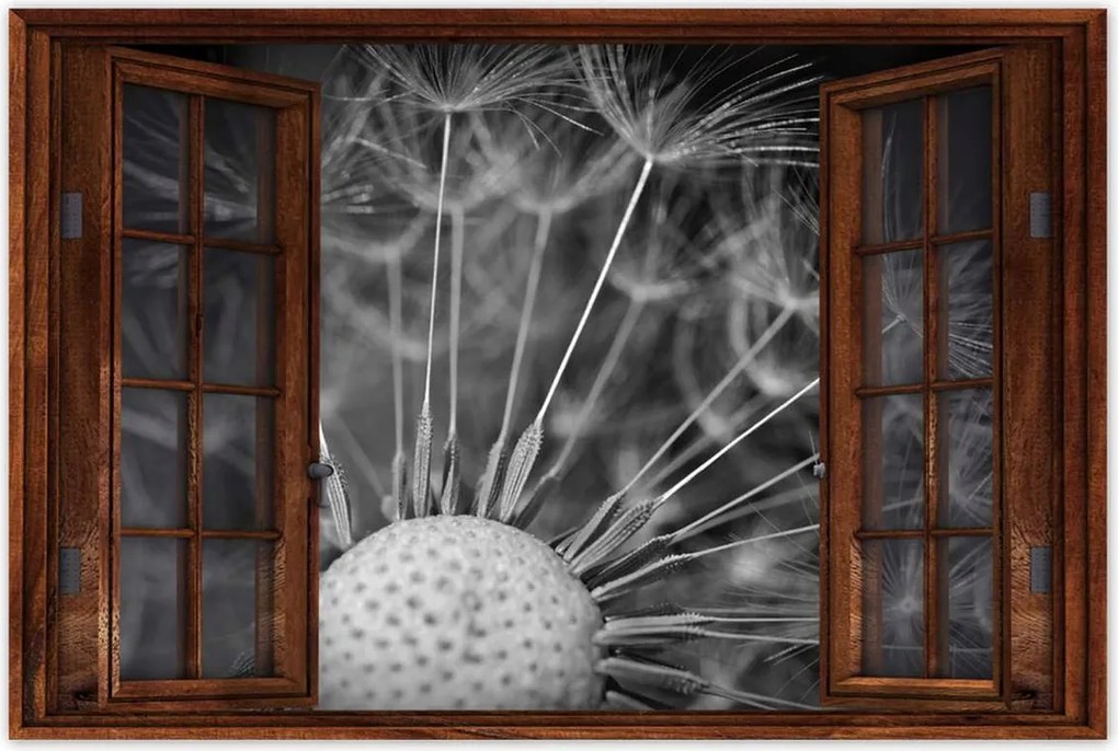 Poszterek 90x60 Pitypang Virág Virágok