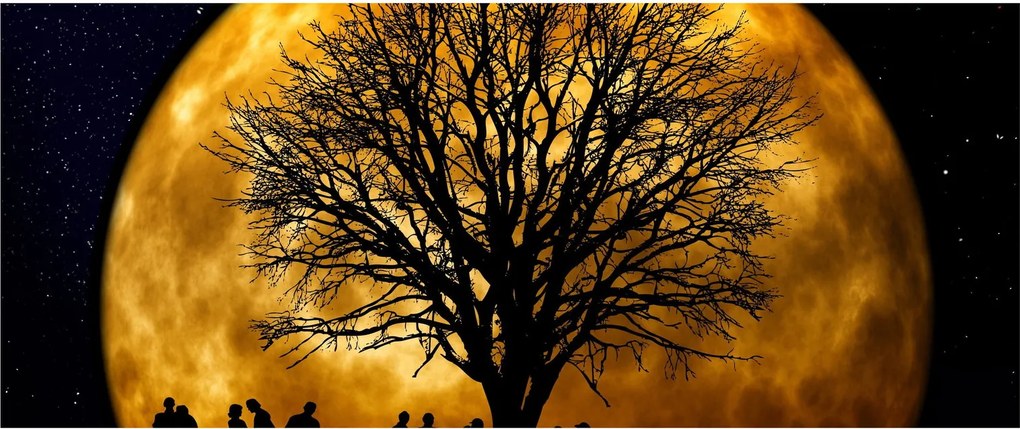 Holdok és sziluettek képe (120x50 cm)