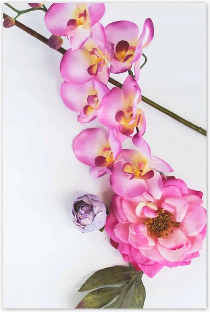 Poszterek 80x120 Virágok Virágkötészet