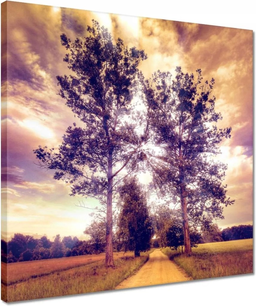 Vászonkép 40x40 Fák az út mellett