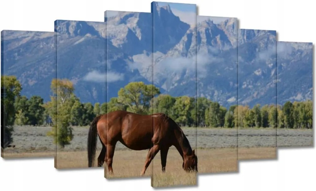 Vászonkép 140x80 Ló a prérin