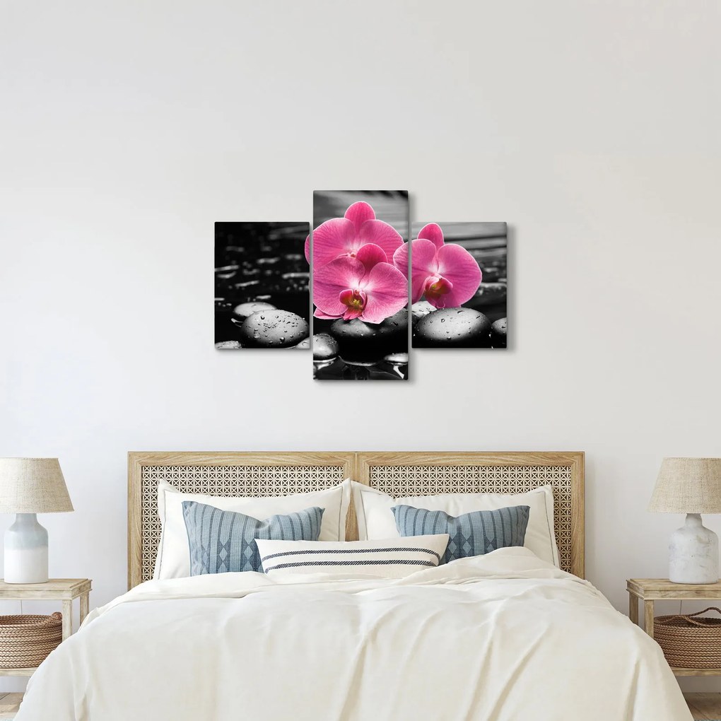 Kép - Rózsaszín orchideák (90x60 cm)