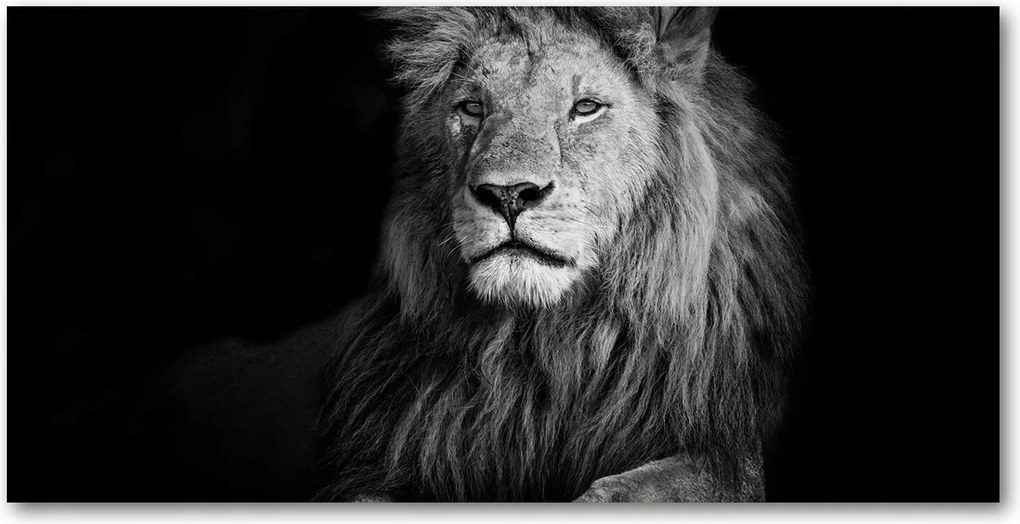 Edzett üveg panel konyhába Oroszlán 100x50 Ragasztó