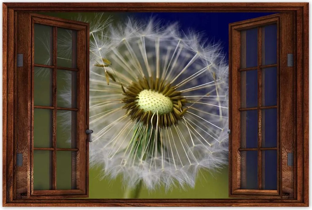 Poszterek 120x80 Pitypang Virág Virágok