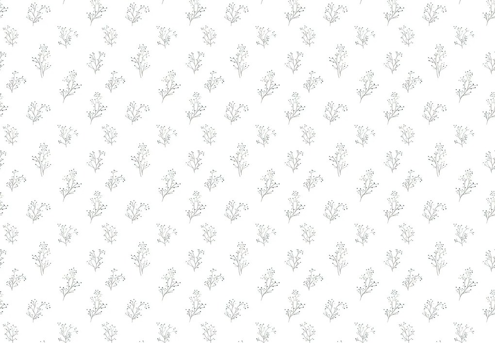 Fotótapéta - Ágacskák (147x102 cm)