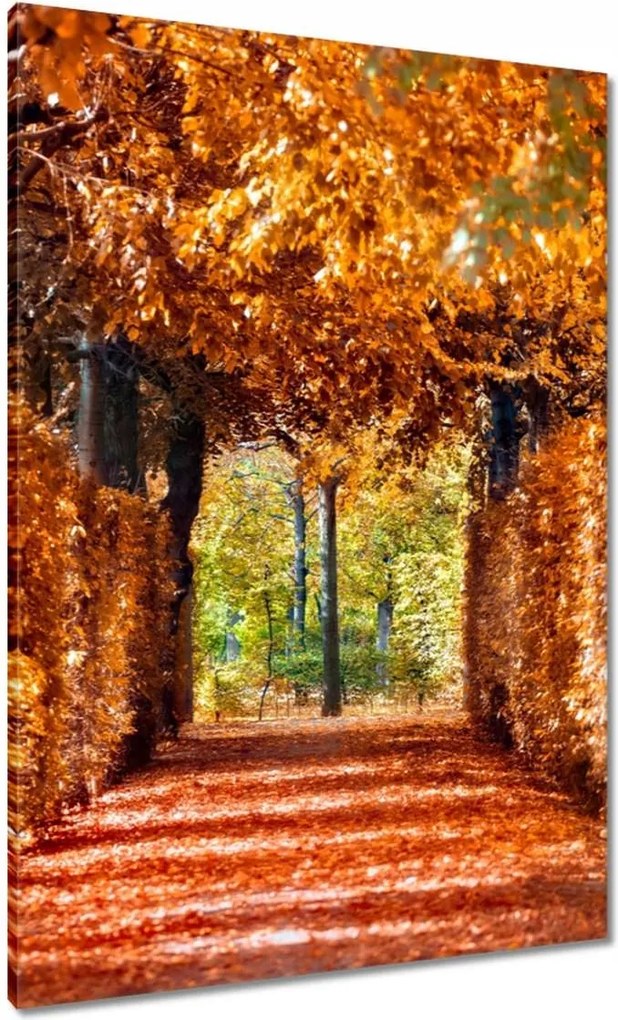 Vászonkép 70x100 Tájkép Látvány