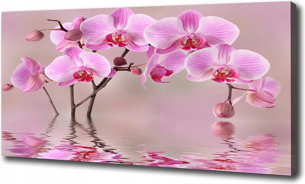 Vászonkép Rózsaszín orchidea 120x60 cm