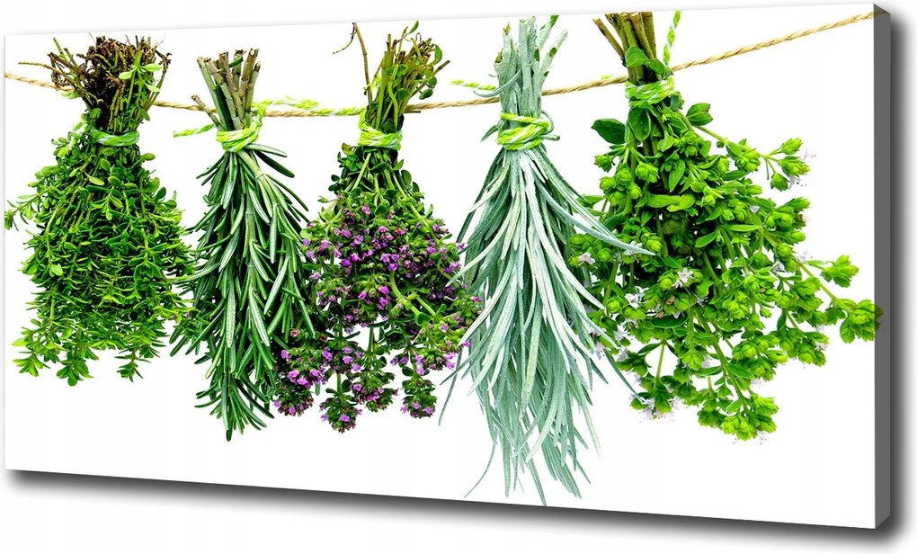 Vászonkép Gyógynövények zsinóron 100x70 cm