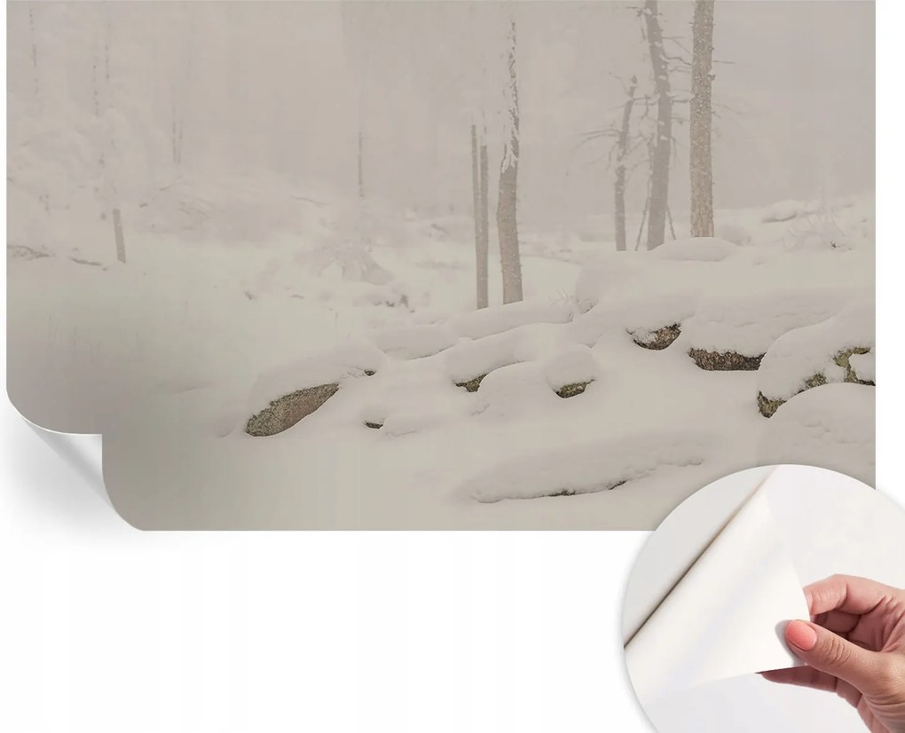 Fotótapéta Dekoratív Fali Tapéta Fotók Hóerdő 416x254