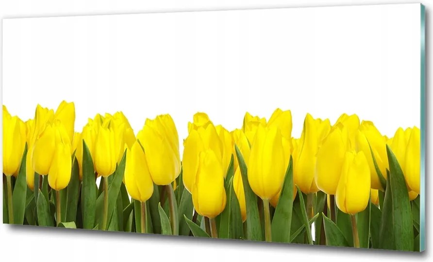 Fotó kép fotó edzett üveg Bambusz 125x50