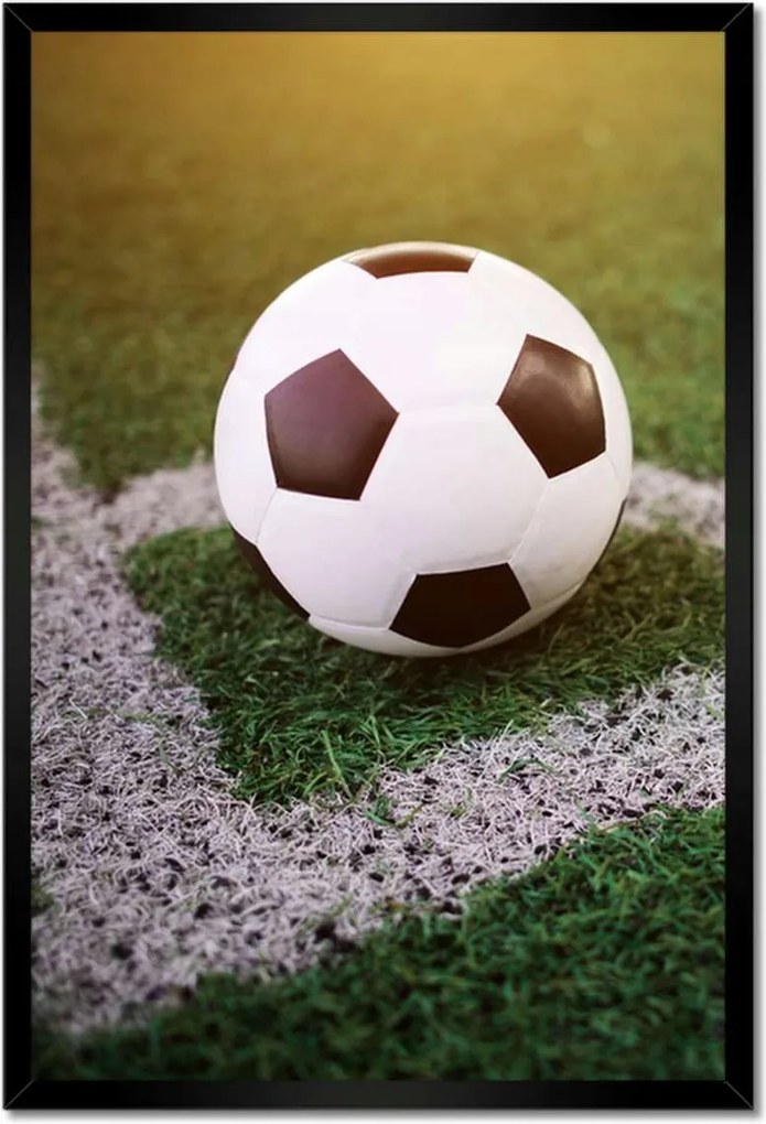 Poszterek keretben 40x60 Labda szögletrúgás Ág