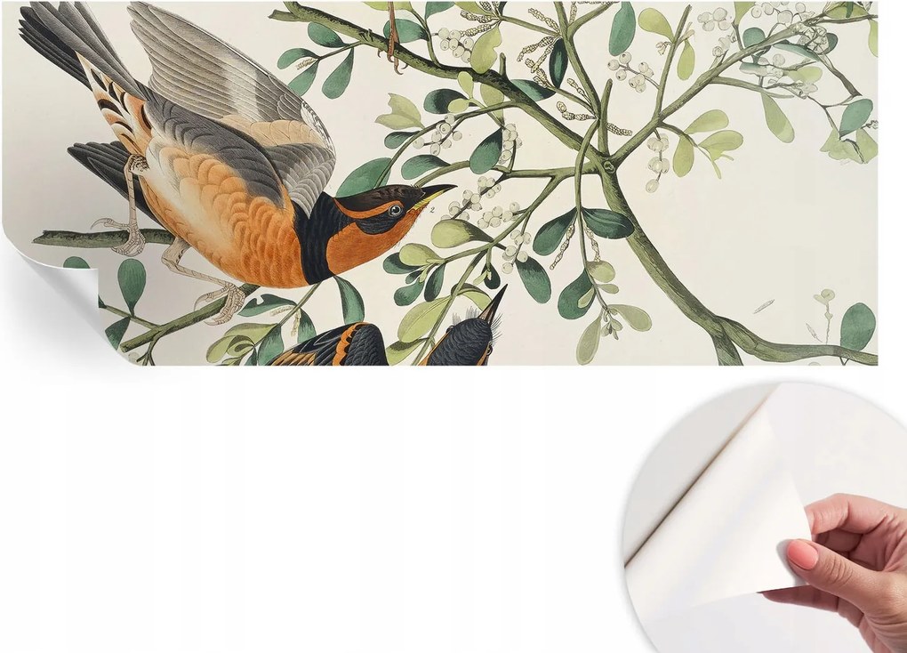 Öntapadós tapéta Divatos 3D fali ragasztóval Színes madarak 250x104 cm