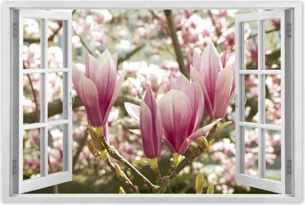 Poszterek 60x40 Magnólia