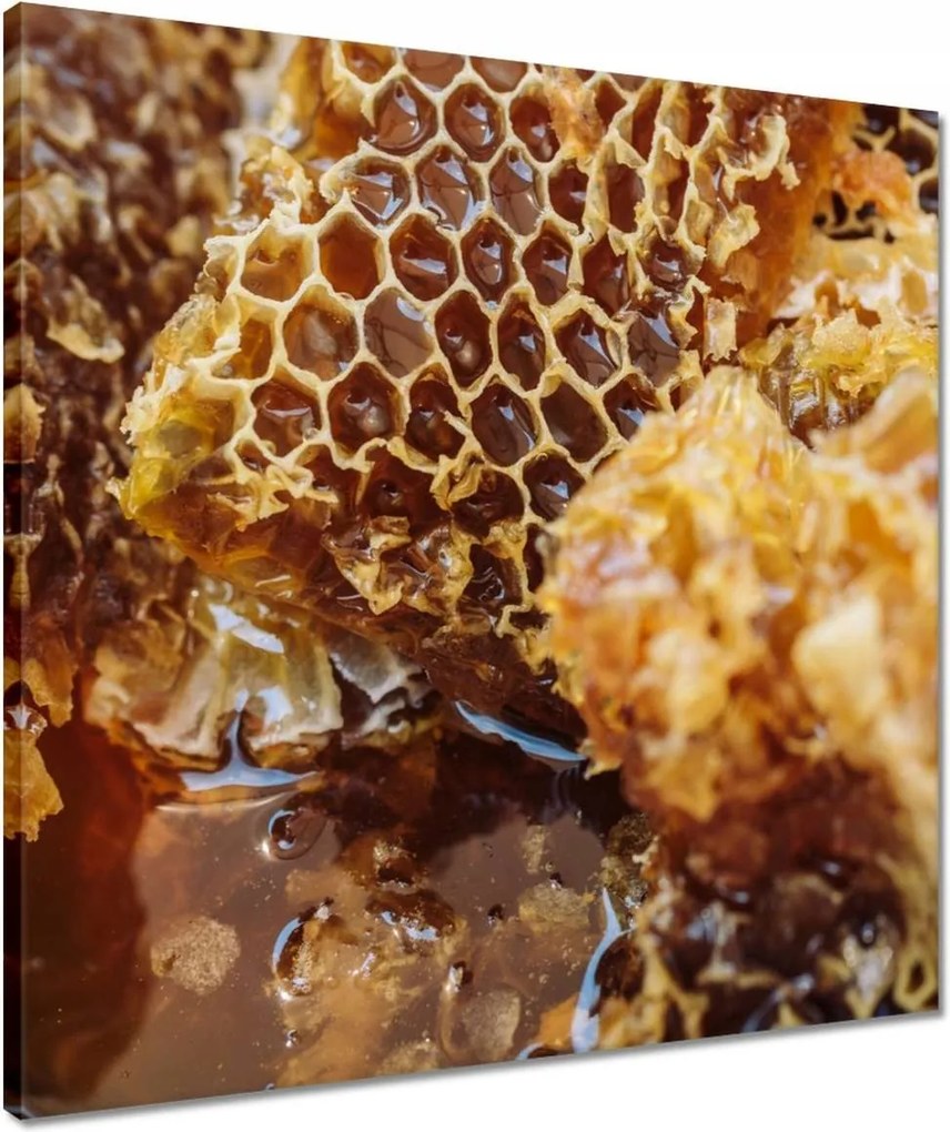 Vászonkép 50x50 Sárga méhsejt
