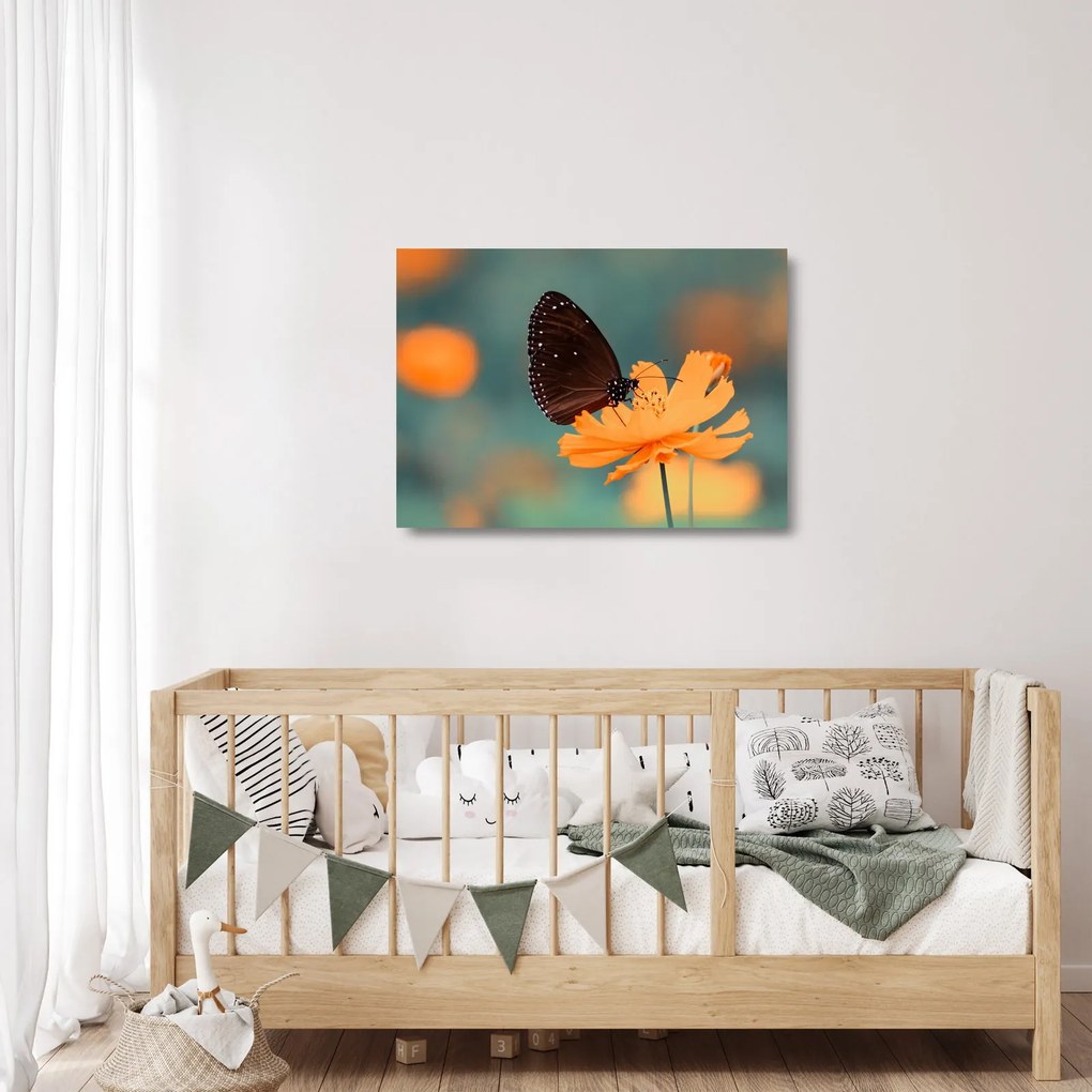 Kép - pillangó narancssárga virágon (üvegen) (70x50 cm)