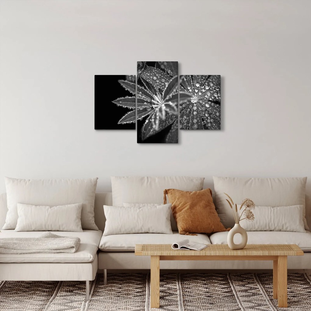 Kép - Levelek cseppekkel (90x60 cm)