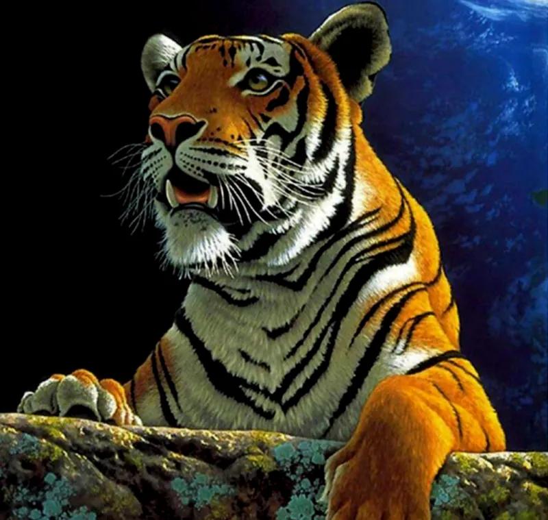 GFT Alapvető gyémántfestmény - tigris