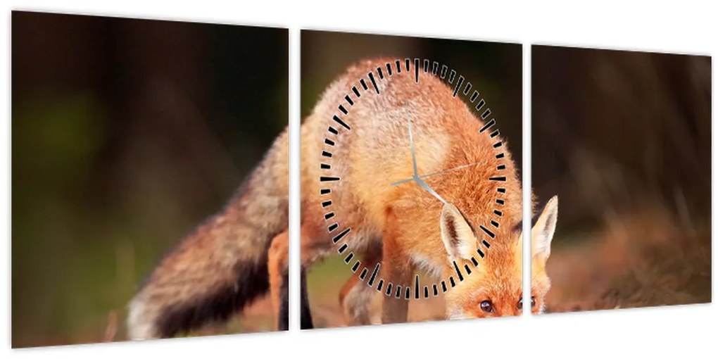Kép - Róka az erdőben (órával) (90x30 cm)