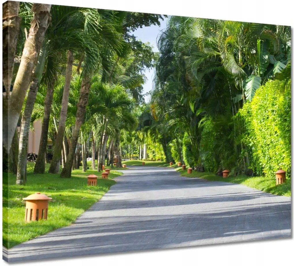 Vászonkép 50x40 Park Falevelek