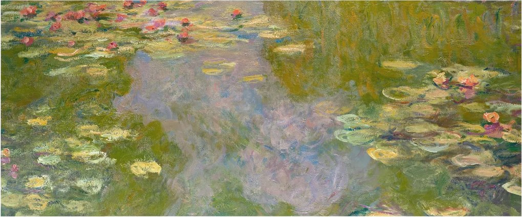 Fotótapéta Dekoratív Fali Tapéta Képek Vízi liliomok 250x104