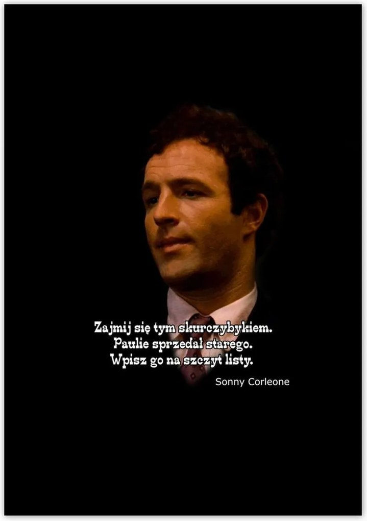 Poszterek 70x100 Godfather Sonny Idézetek