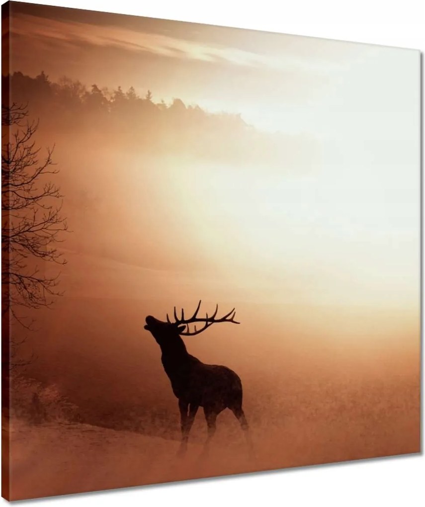 Vászonkép 50x50 Szarvas az erdő szélén