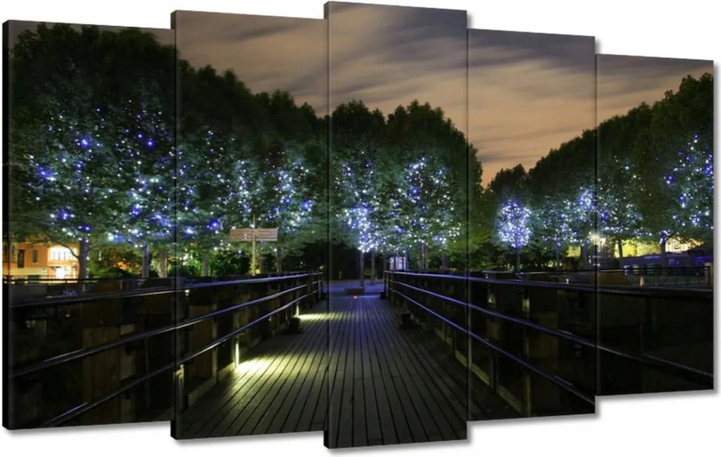 Vászonkép 100x60 Séta az éjszakában