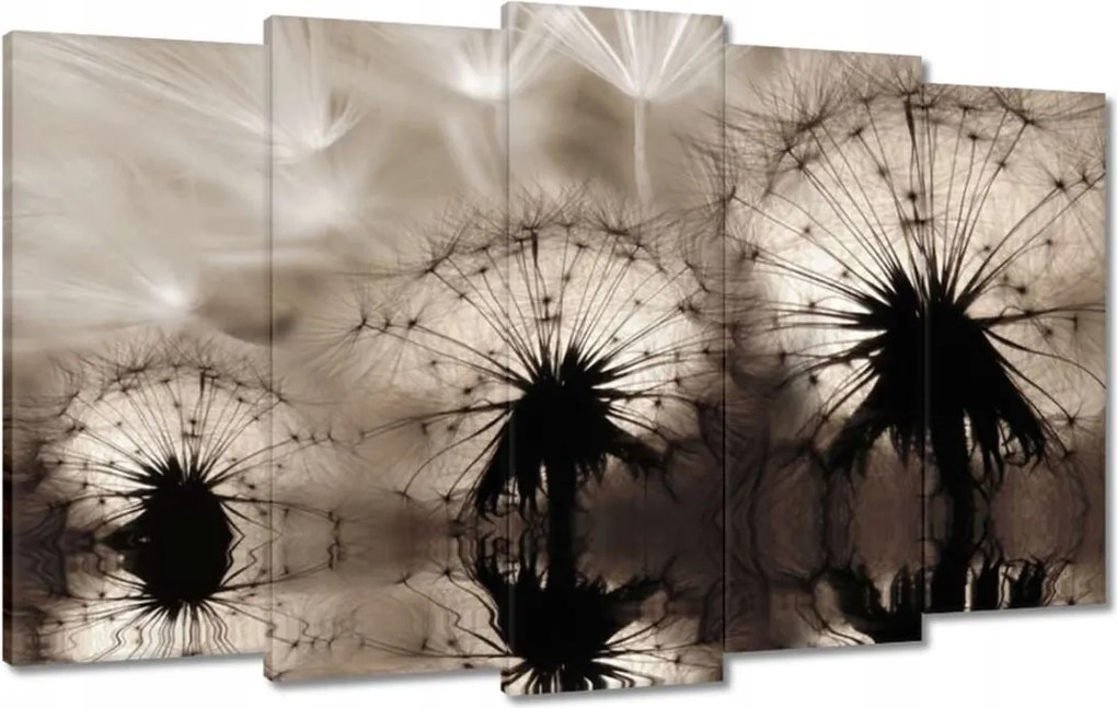 Képek 100x60 Pitypangok szépia papírsárkányok