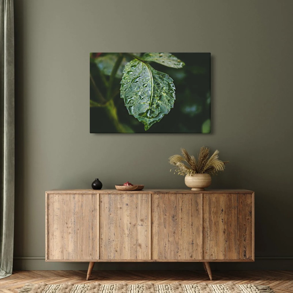 Kép - cseppek a levelen (90x60 cm)