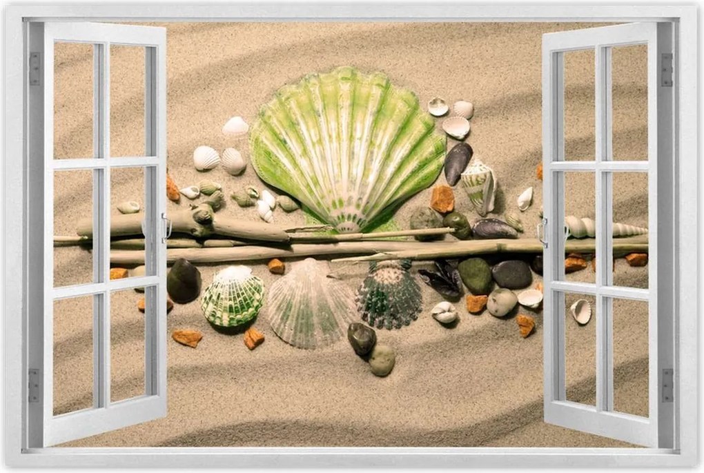 Poszterek 90x60 Lime kagyló Balti-tenger