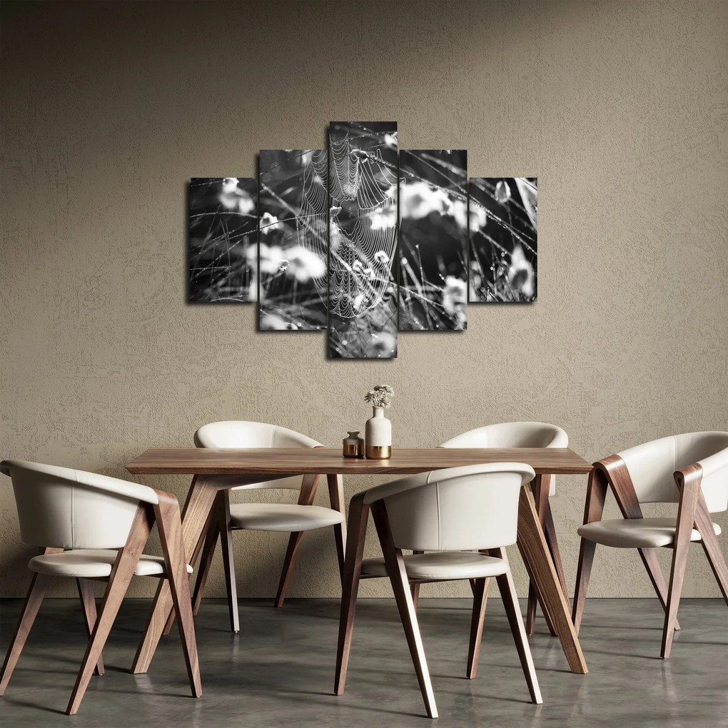 Kép - Pókháló a réten (150x105 cm)