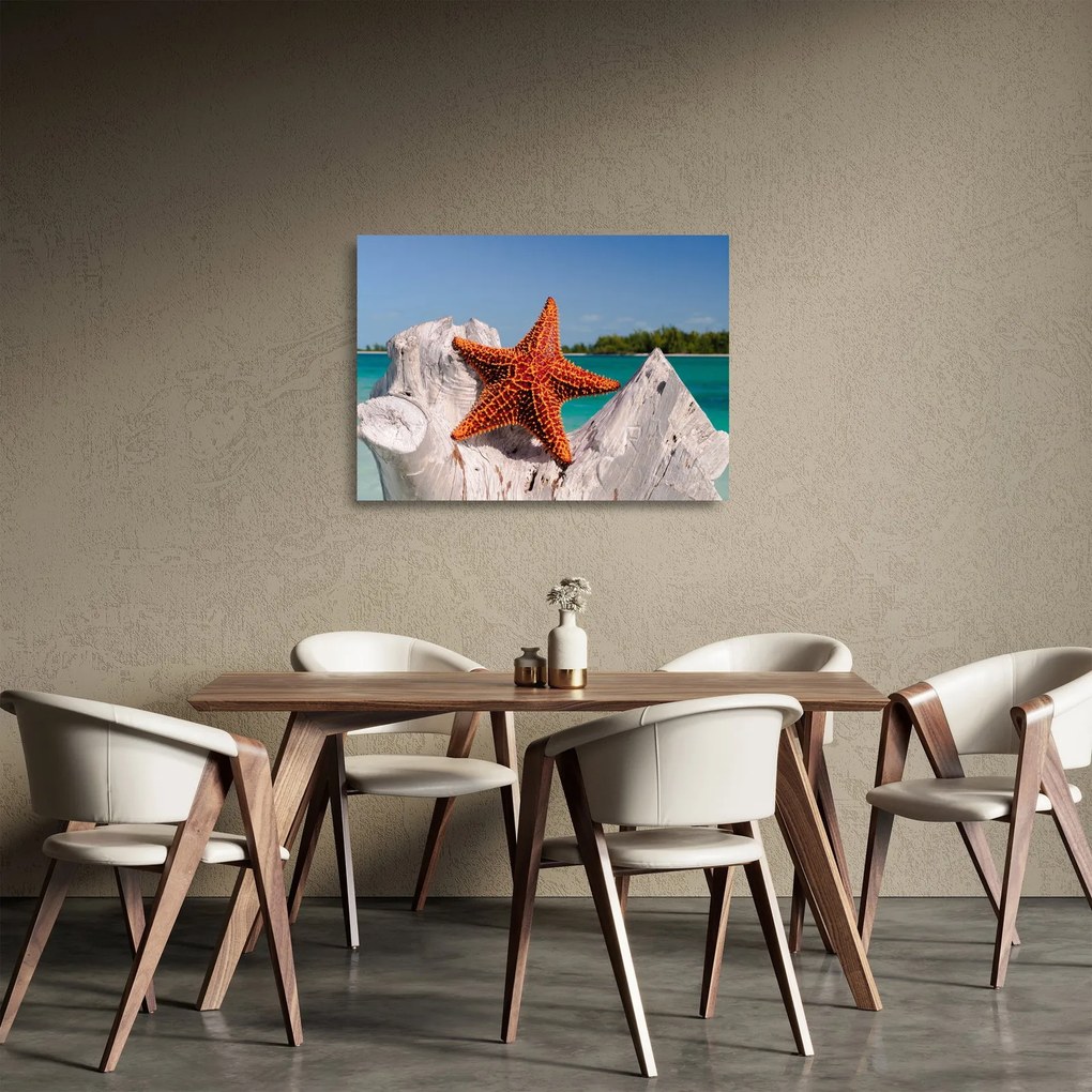 Egy tengeri csillag képe (üvegen) (70x50 cm)