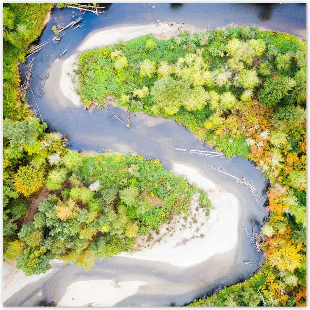 Poszterek 100x100 Forgó folyó Erdő Ősz