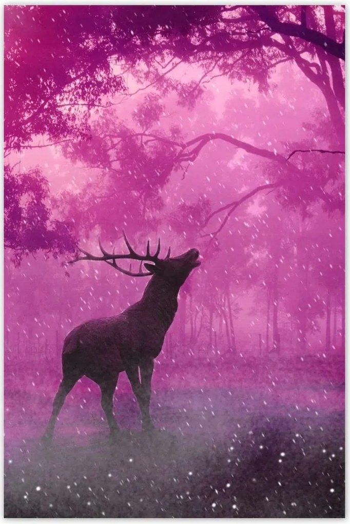 Poszterek 60x90 Szarvas a varázslatos erdőben