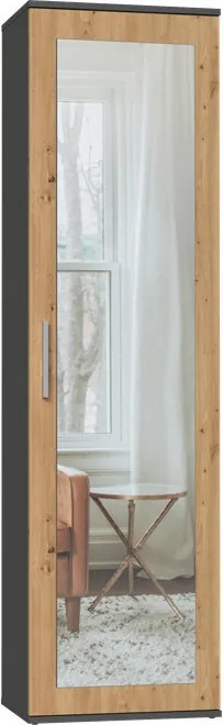 Duo tükrös szekrény, antracit, tölgy