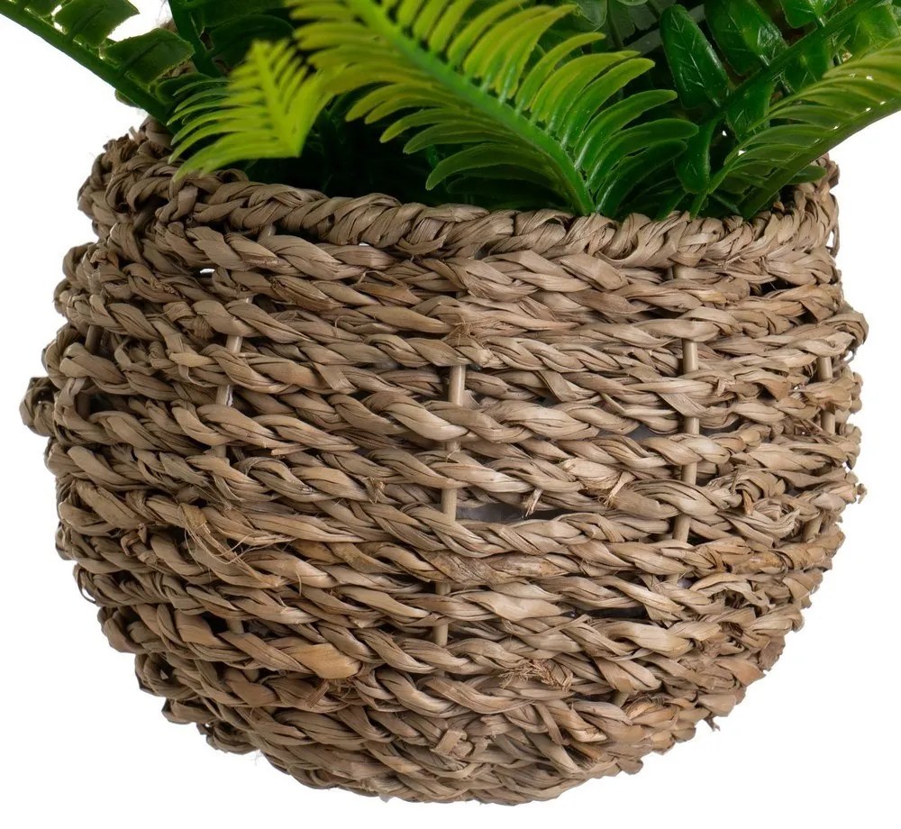 Haraszt műnövény (magasság 25 cm) – Casa Selección