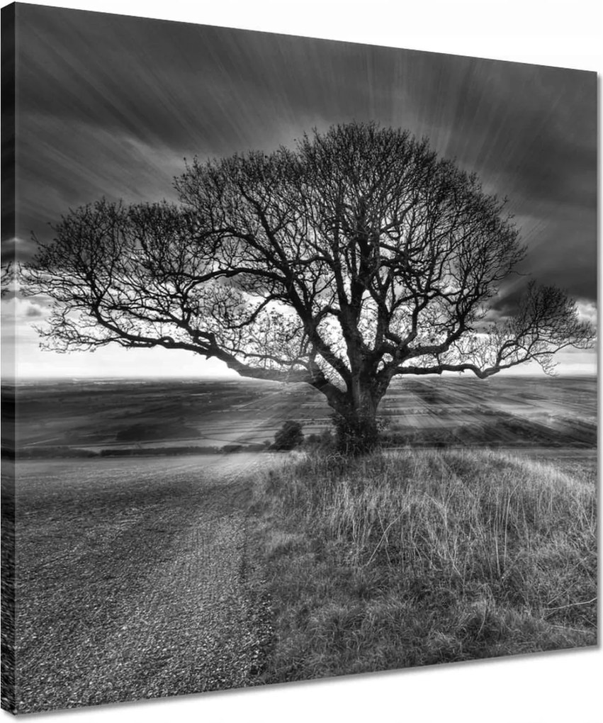 Vászonkép 40x40 Gyönyörű naplemente