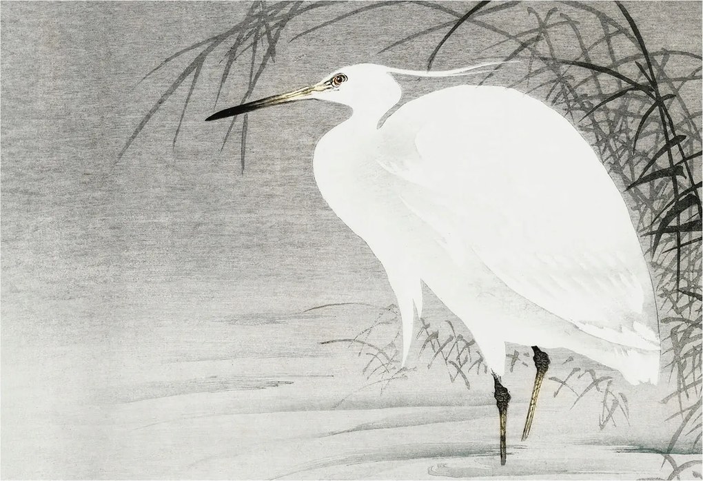 Fotótapéta Flizelin Dekoratív Hálószoba Vízi táj 152x104