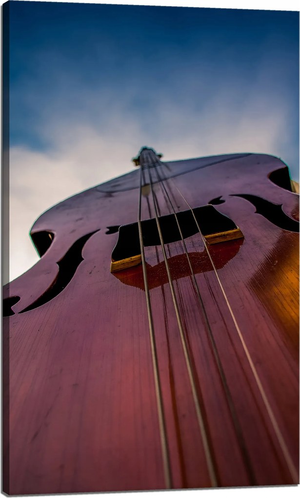 Vászonkép Zene Kontrabasszus közelkép 60x100