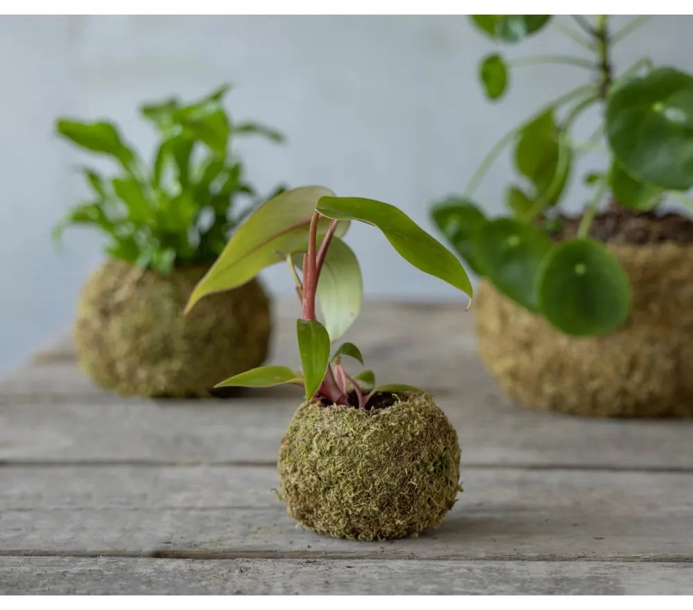 Virágcserép ø 9 cm Kokedama – Esschert Design