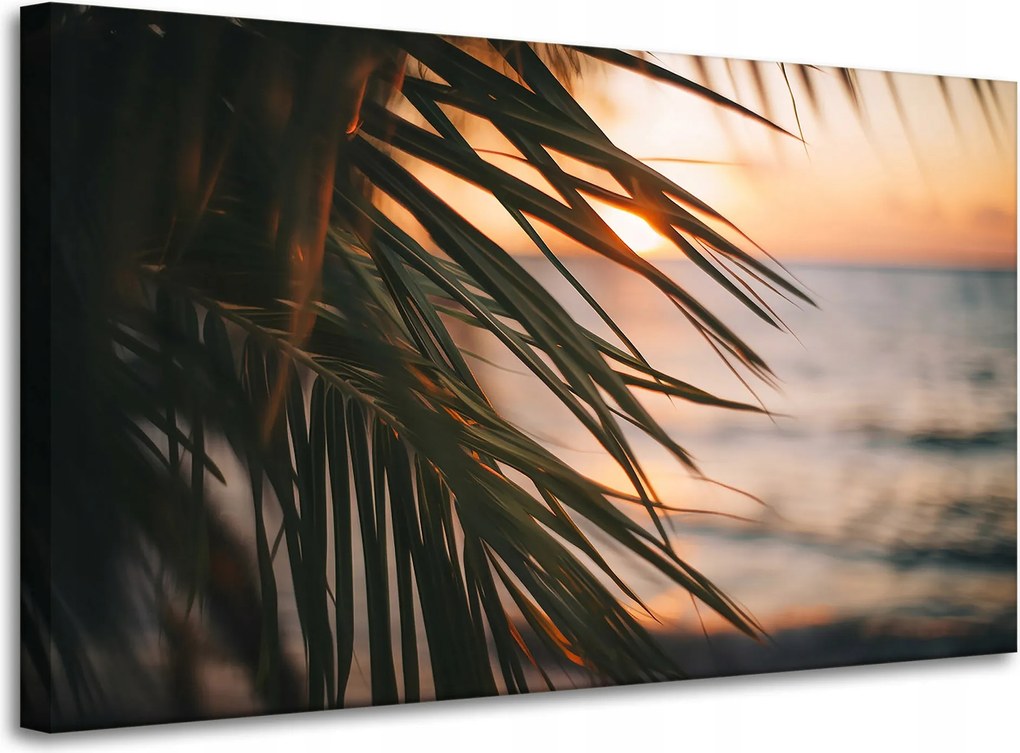 Vászonkép Természet Tengerpart Pálma Tenger Naplemente 100x60