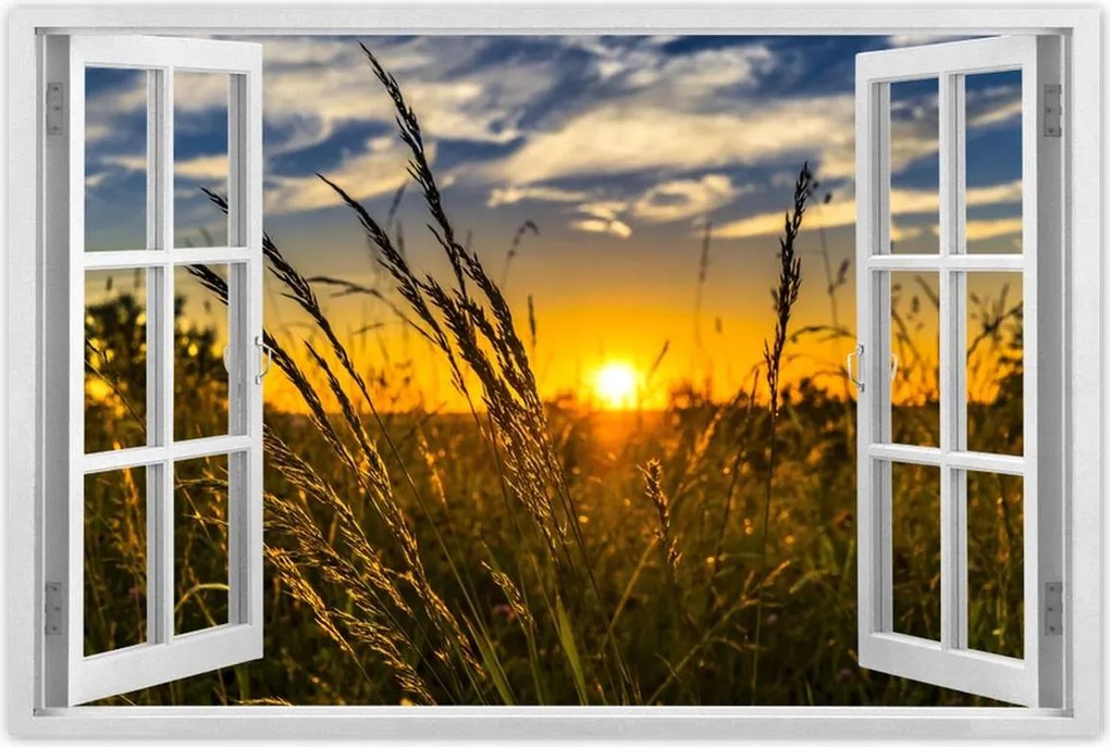 Poszterek 90x60 Naplemente a füvek között