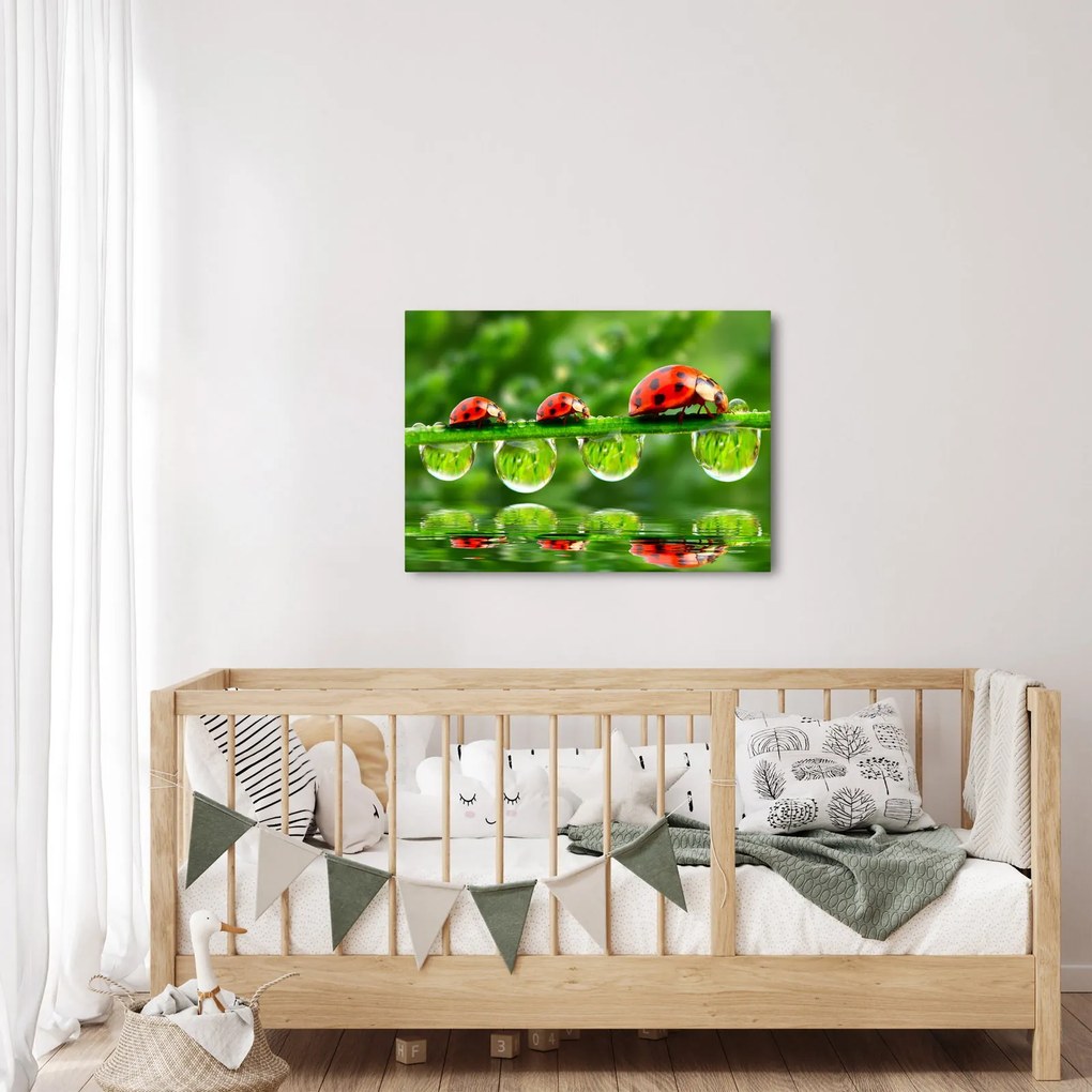 Kép - A hét nap napfénye (70x50 cm)