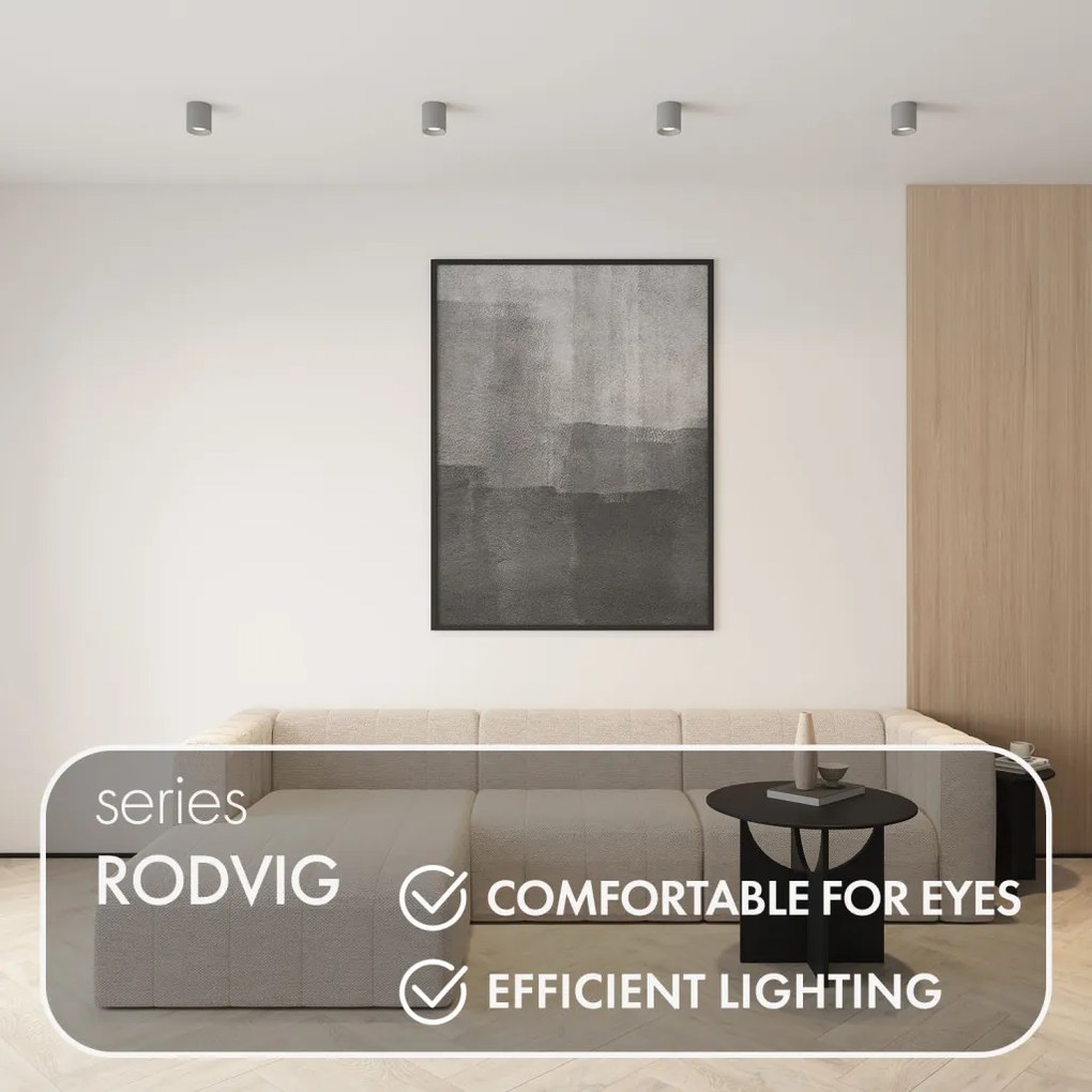 Rodvig series surface mounted ceiling downlight — DK/EU-3090-CT