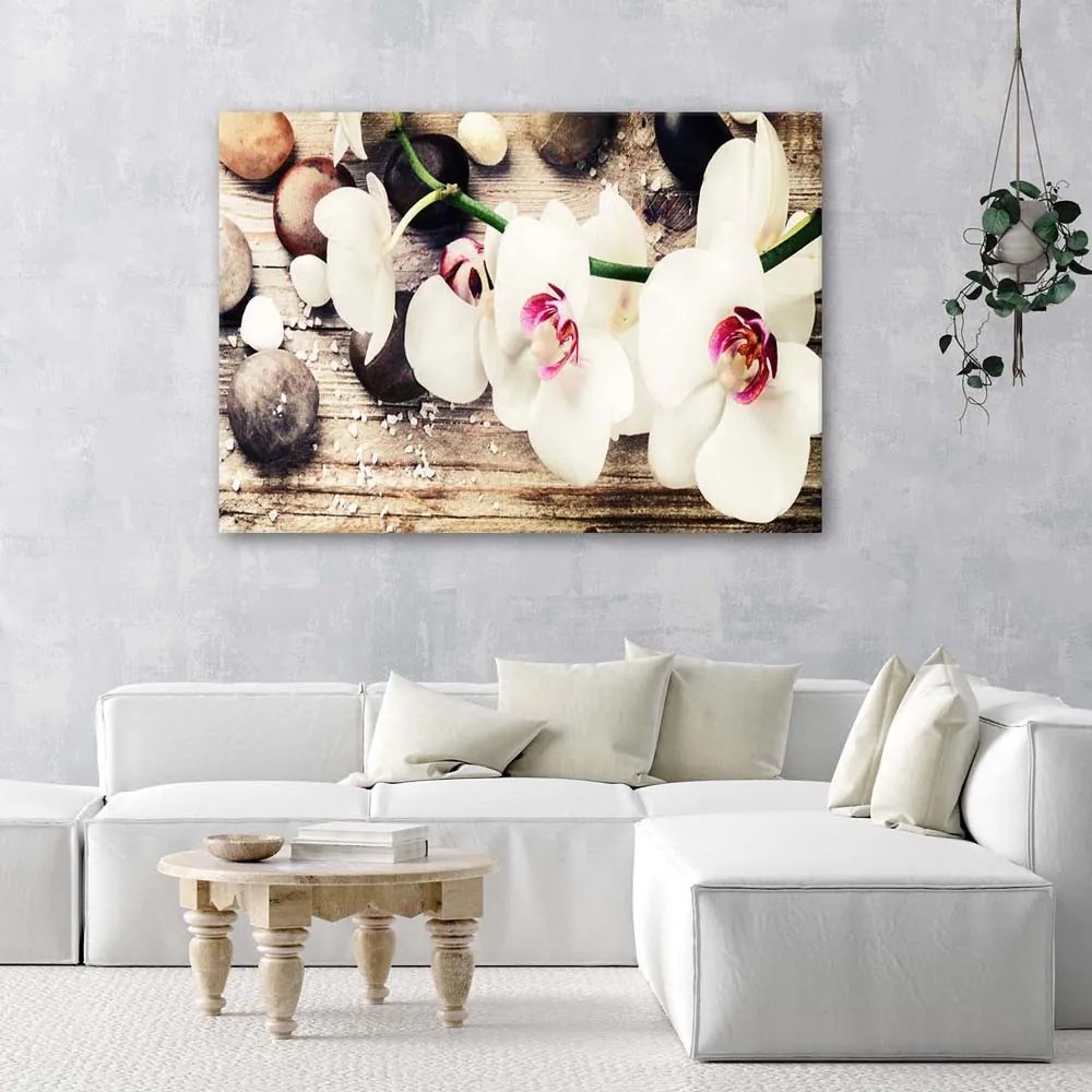 Gario Vászonkép Fehér zen orchidea Méret: 100 x 70 cm