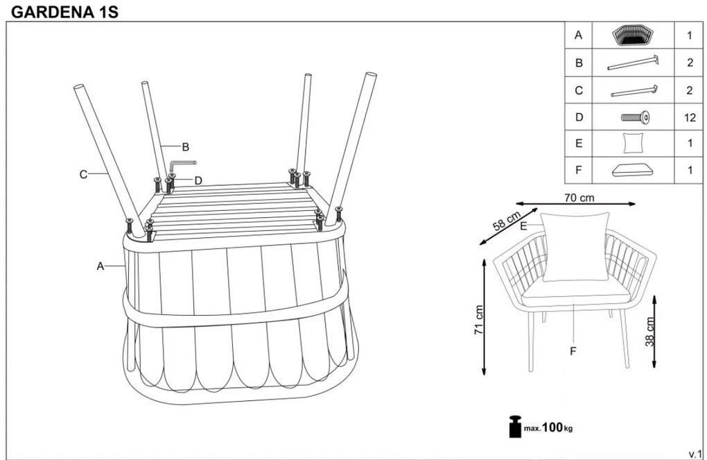 LIERNE 1S rattan fotel