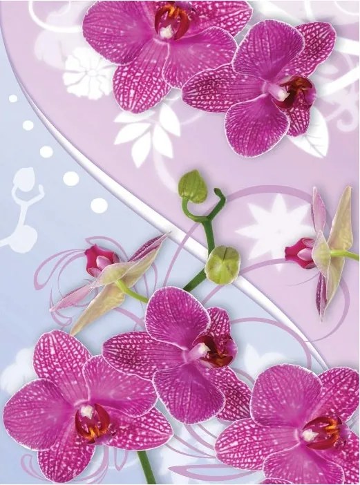 Fotótapéta Orchideák Rózsaszín-lila nappaliba és hálószobába 206x275 +ragasztó