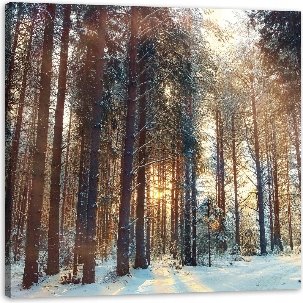 Vászonkép Erdő Tél Hó Fehér Természet 90X90 cm Ideális ajándék