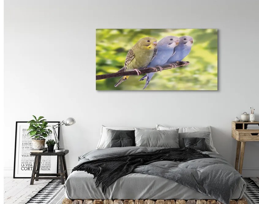 Akrilkép Színes papagáj egy ágon 100x50 cm